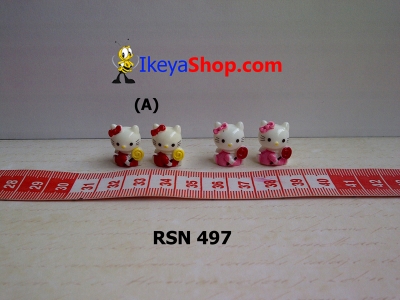 rsn 497  large2
